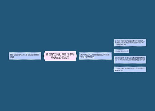 由国家工商行政管理总局登记的公司范围