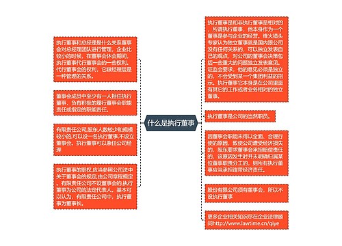 什么是执行董事