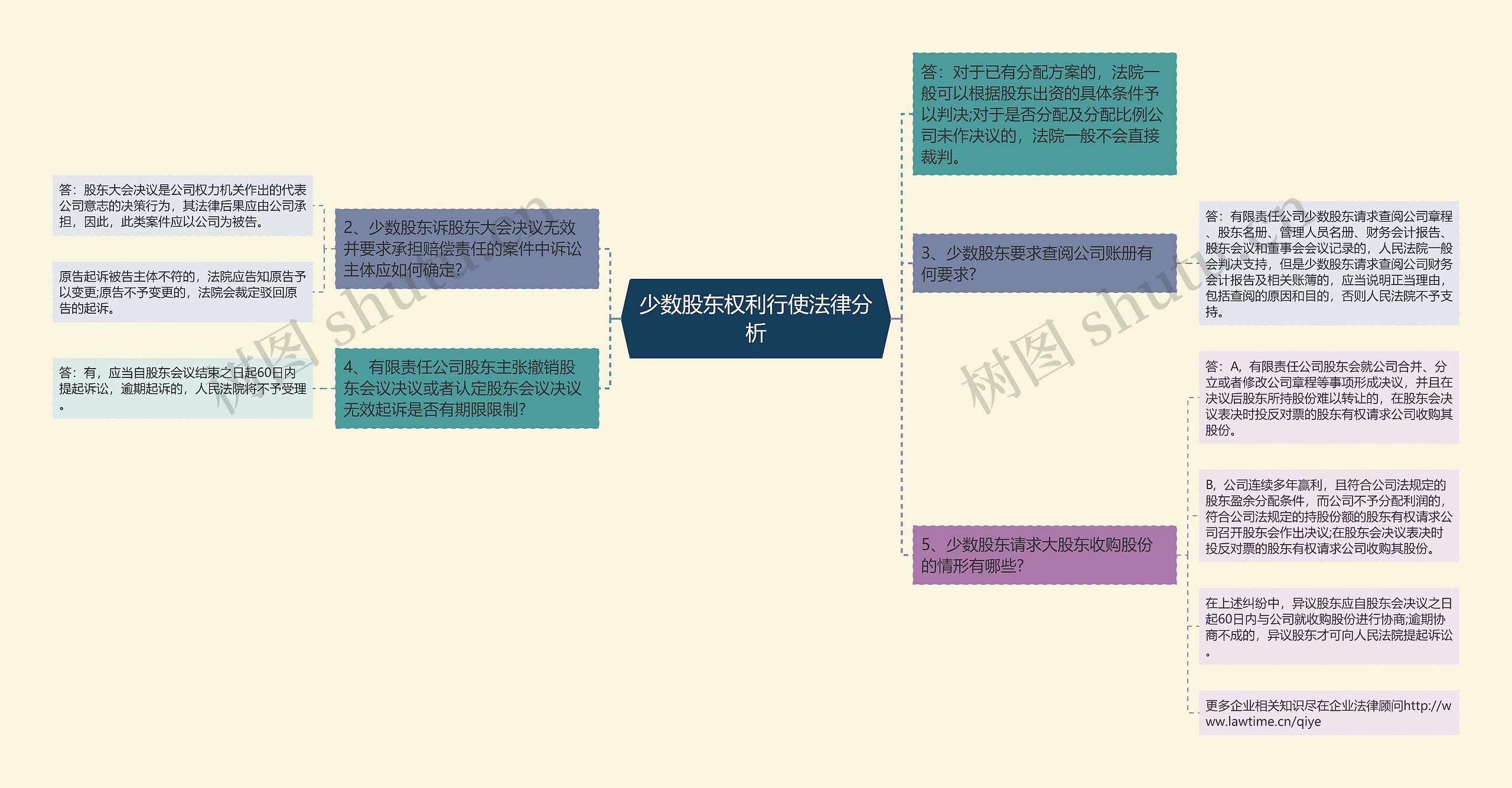 少数股东权利行使法律分析思维导图