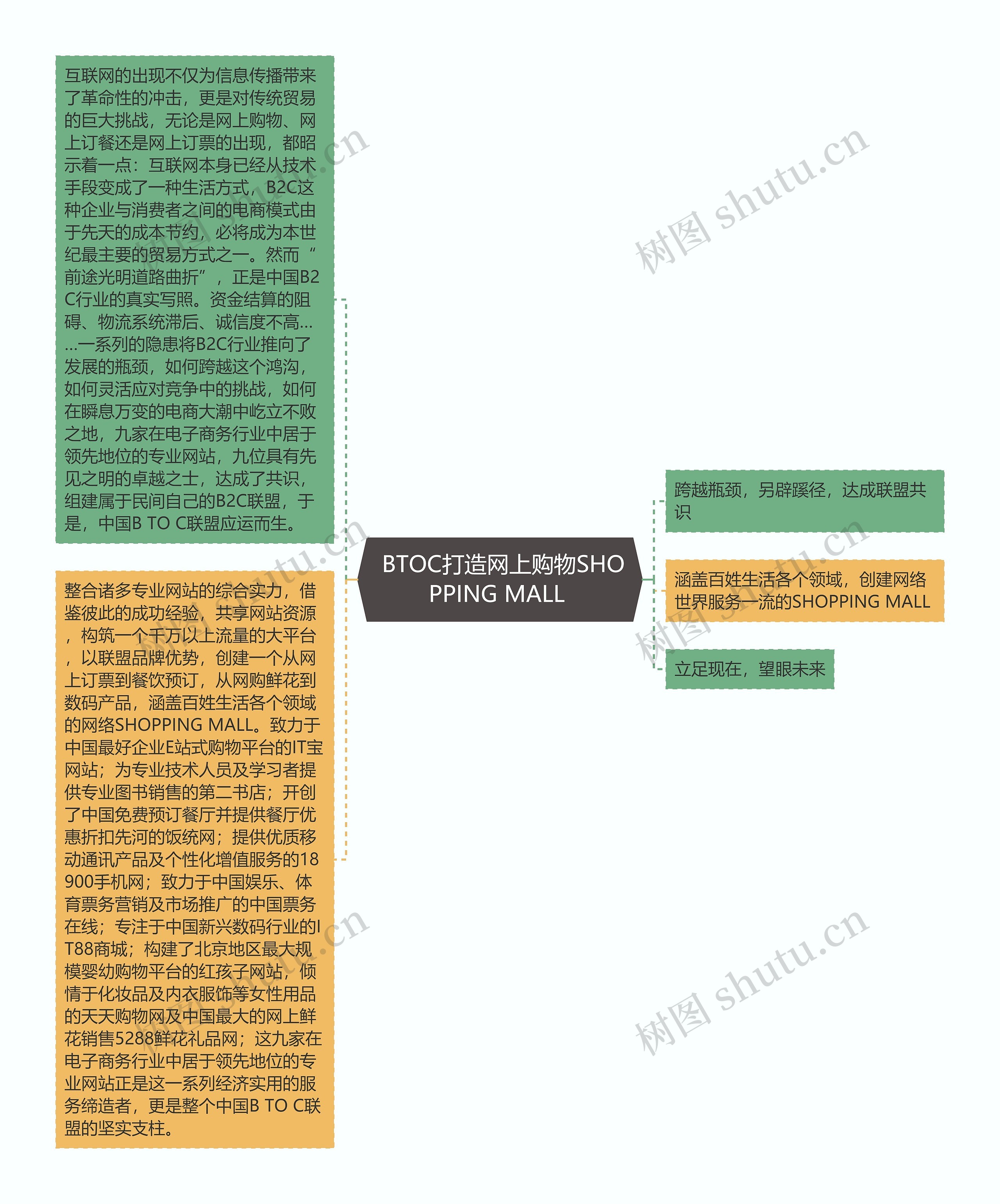  BTOC打造网上购物SHOPPING MALL 思维导图