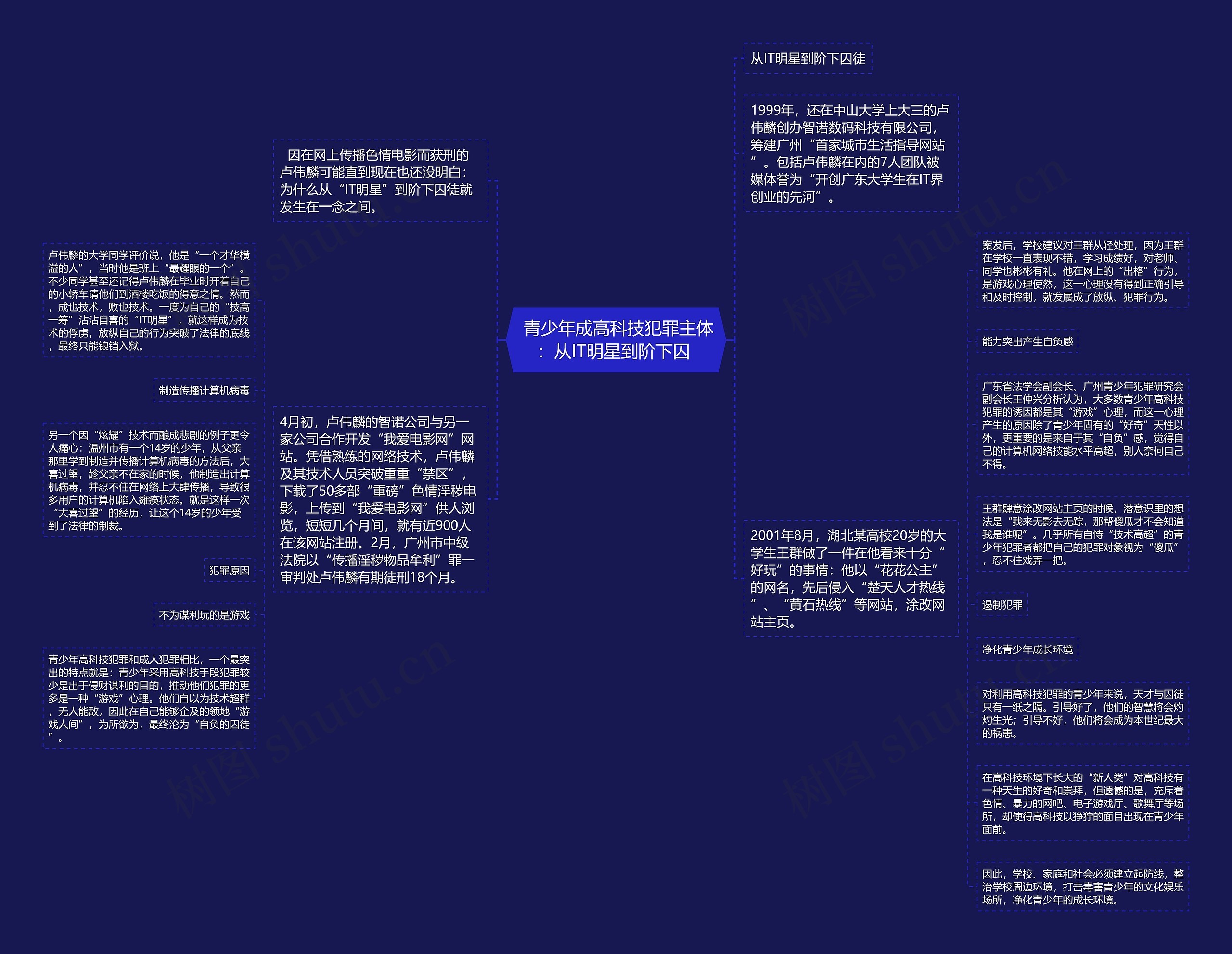  青少年成高科技犯罪主体：从IT明星到阶下囚 思维导图