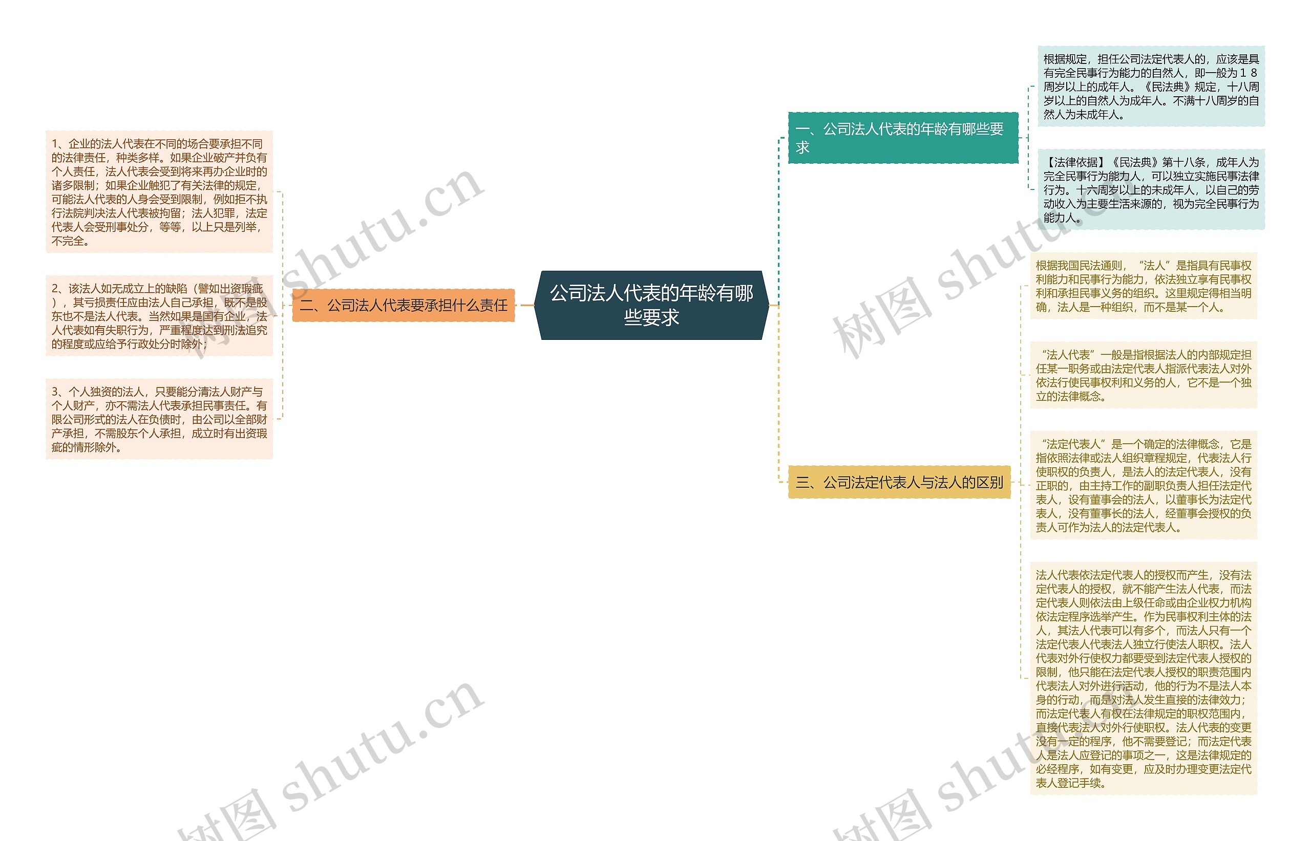 公司法人代表的年龄有哪些要求