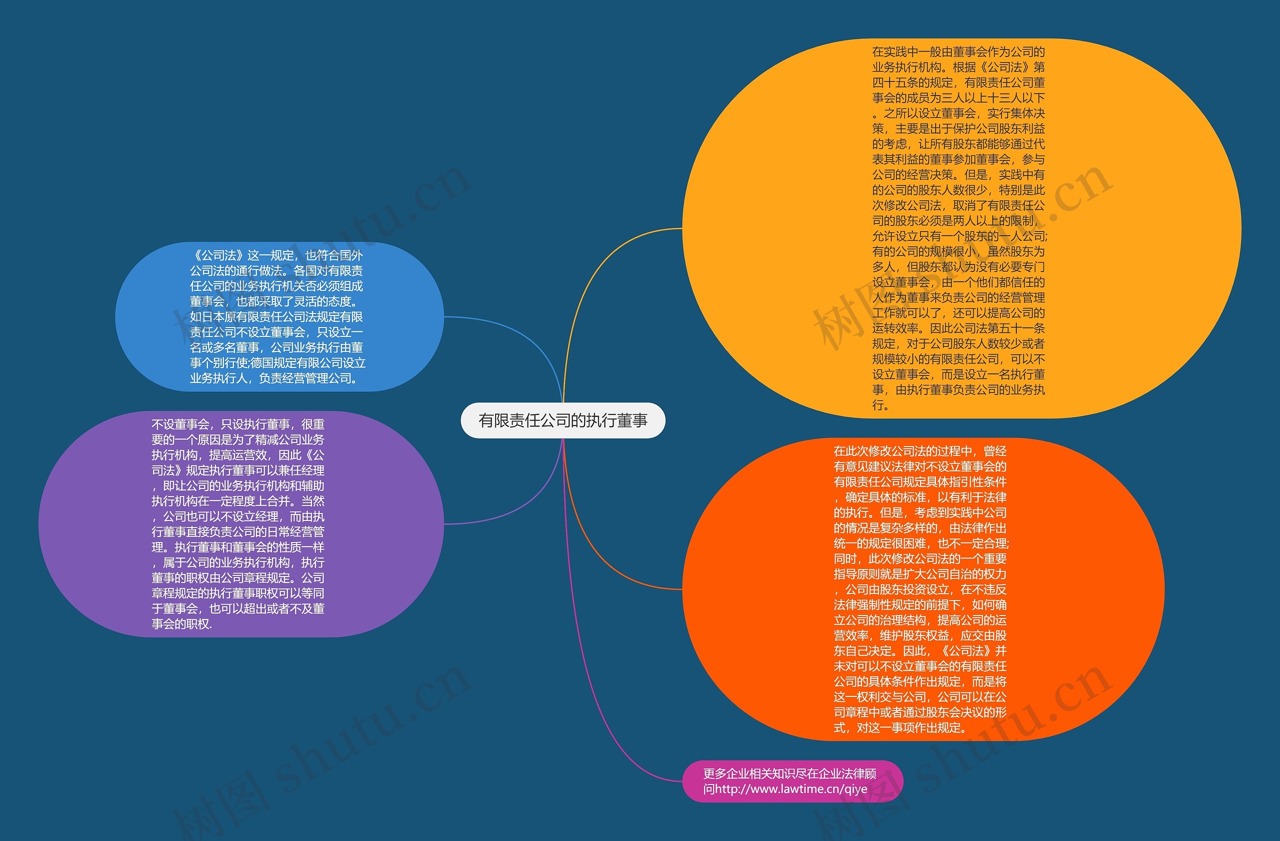 有限责任公司的执行董事思维导图