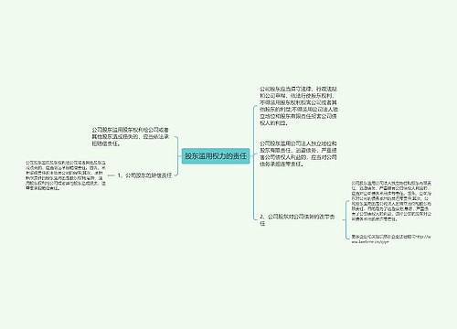 股东滥用权力的责任