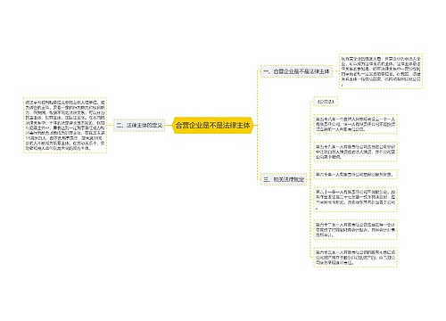 合营企业是不是法律主体