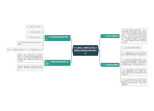 什么叫法人独资企业?法人独资企业的成立条件是什么