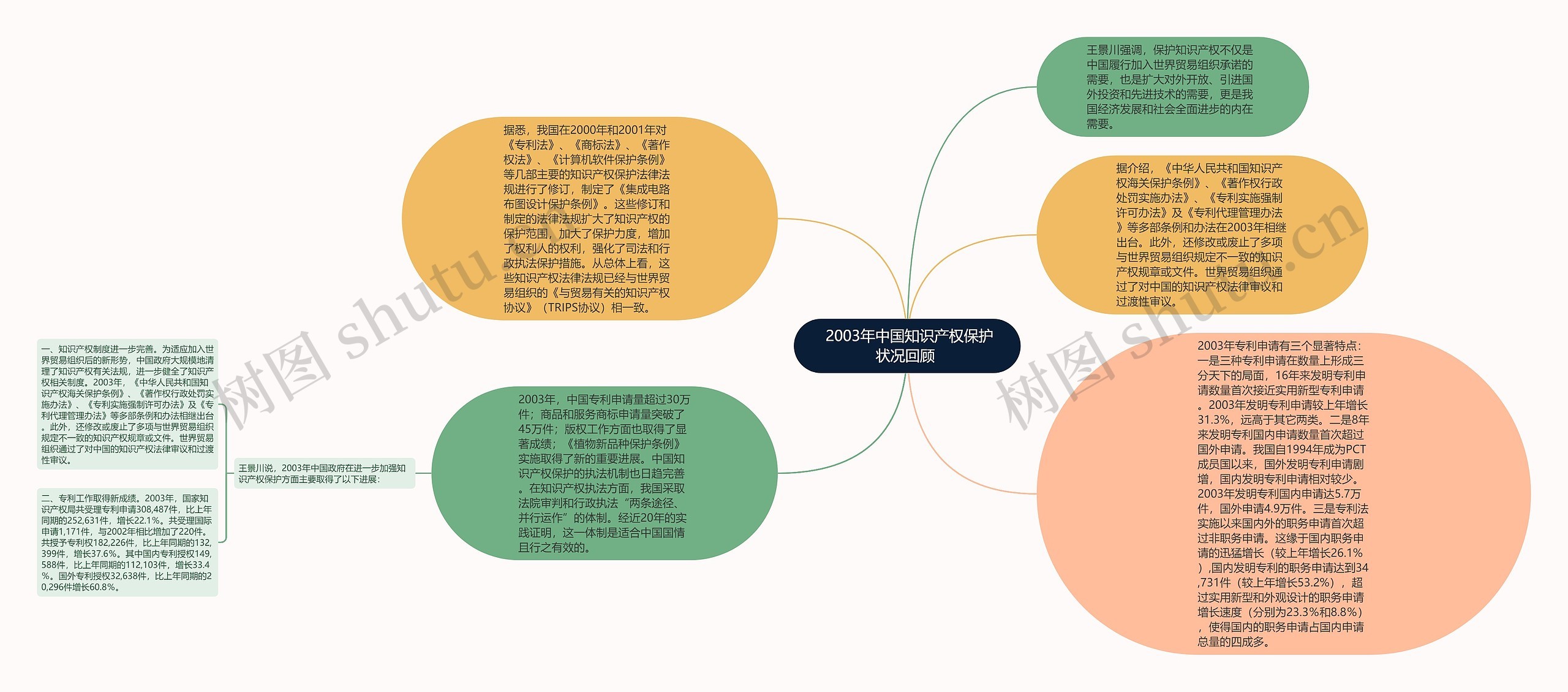  2003年中国知识产权保护状况回顾 思维导图