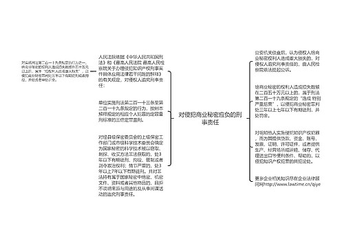 对侵犯商业秘密应负的刑事责任