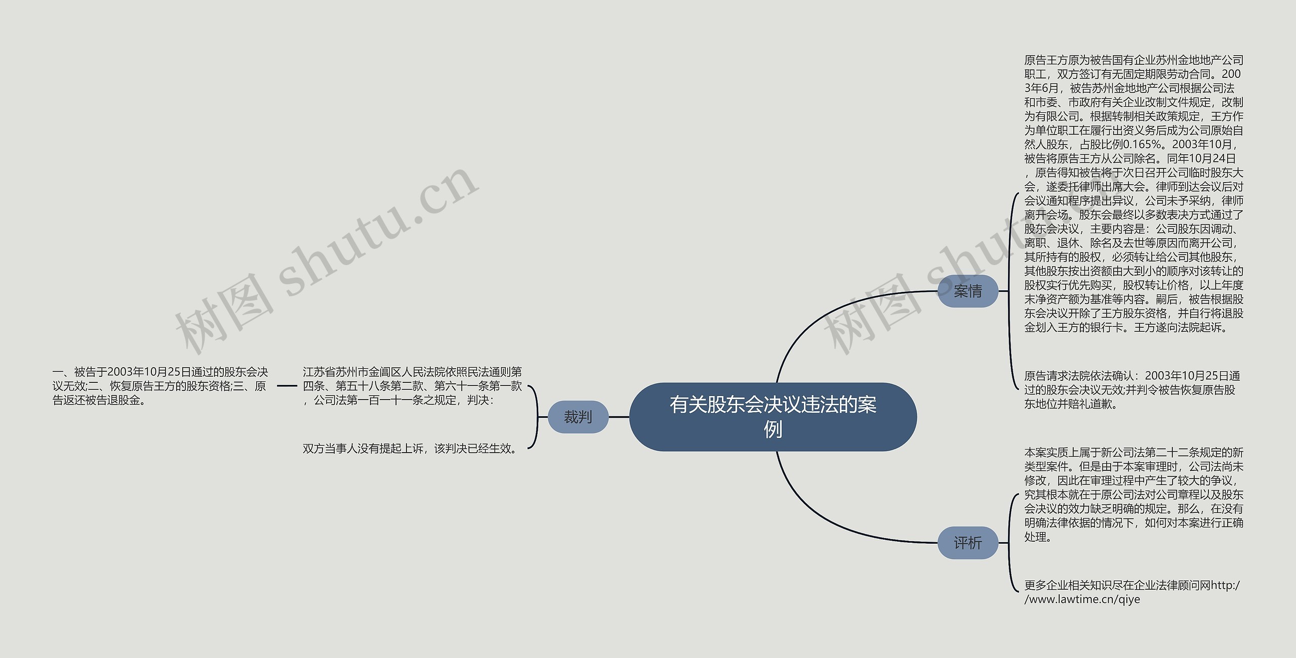 有关股东会决议违法的案例