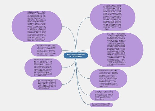 哪些公司可以只设执行董事，而不设董事会