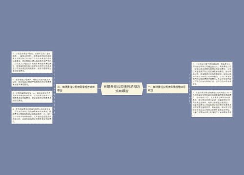 有限责任公司债务承担方式有哪些