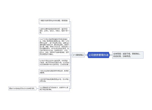 公司债务管理办法