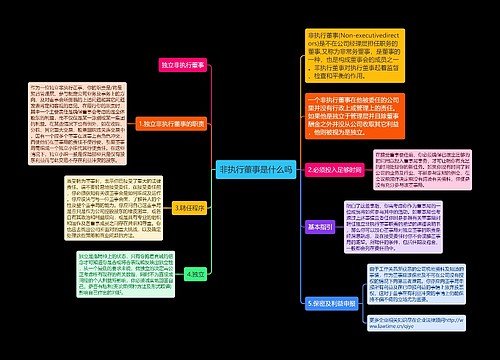 非执行董事是什么吗