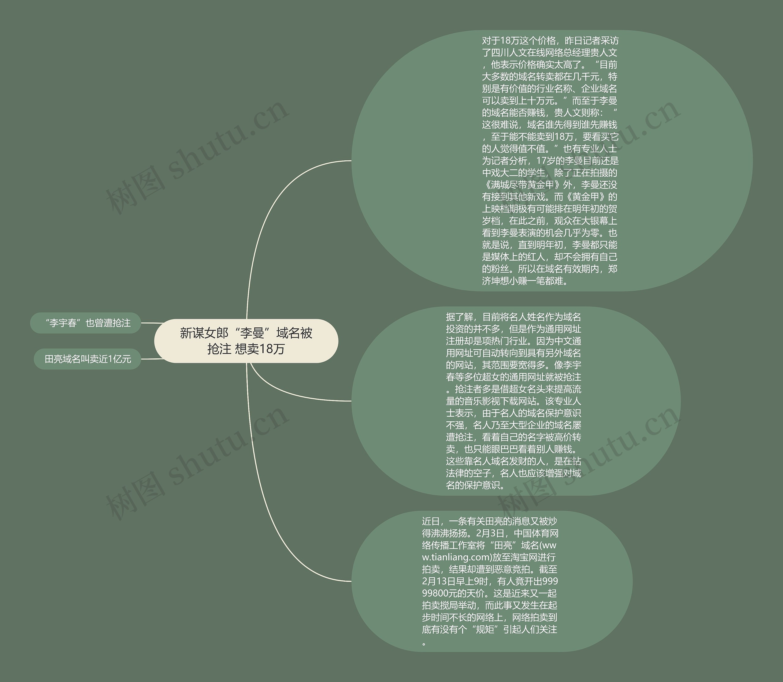 新谋女郎“李曼”域名被抢注 想卖18万思维导图