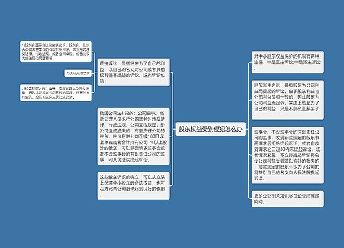 股东权益受到侵犯怎么办