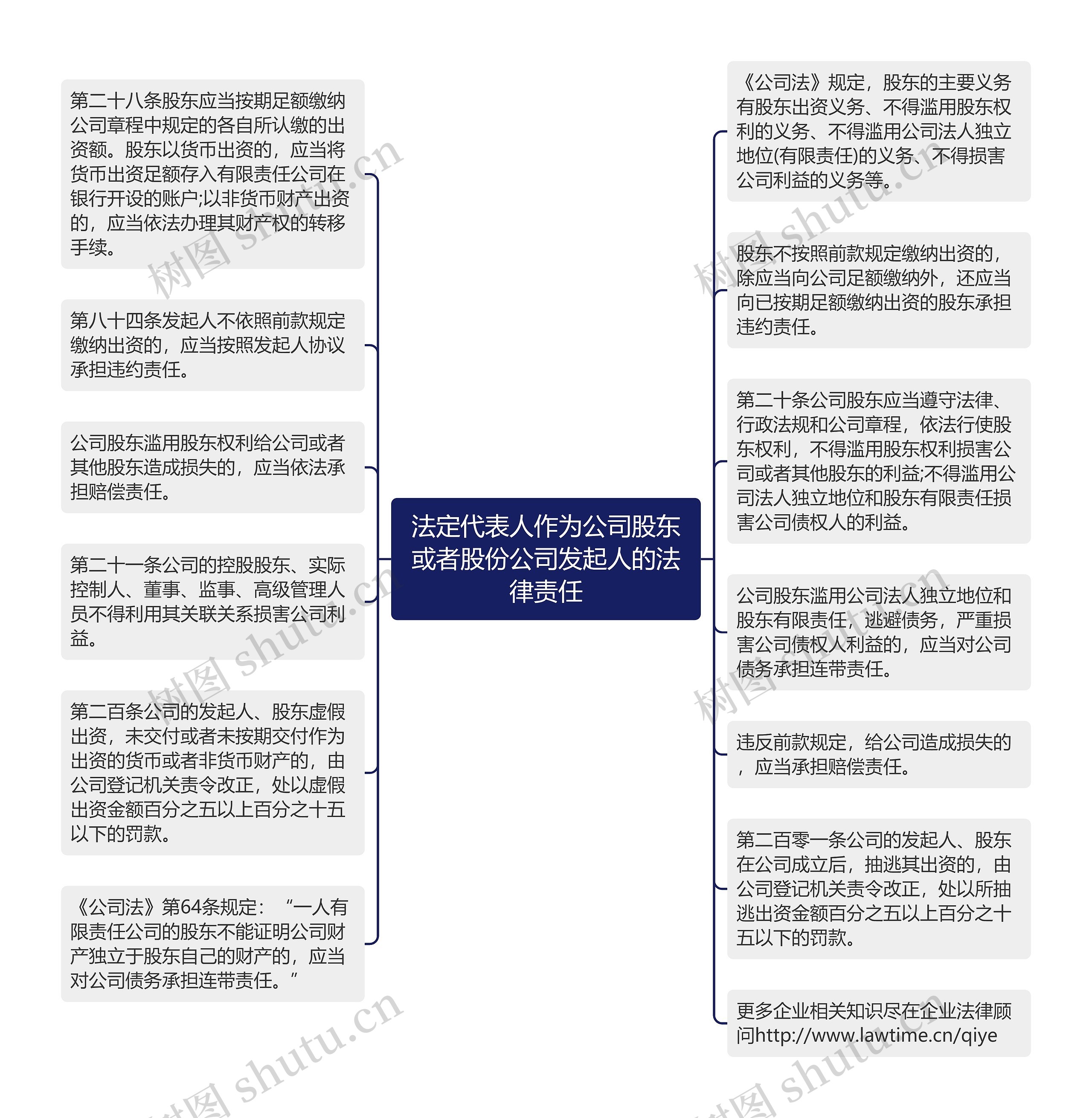 法定代表人作为公司股东或者股份公司发起人的法律责任