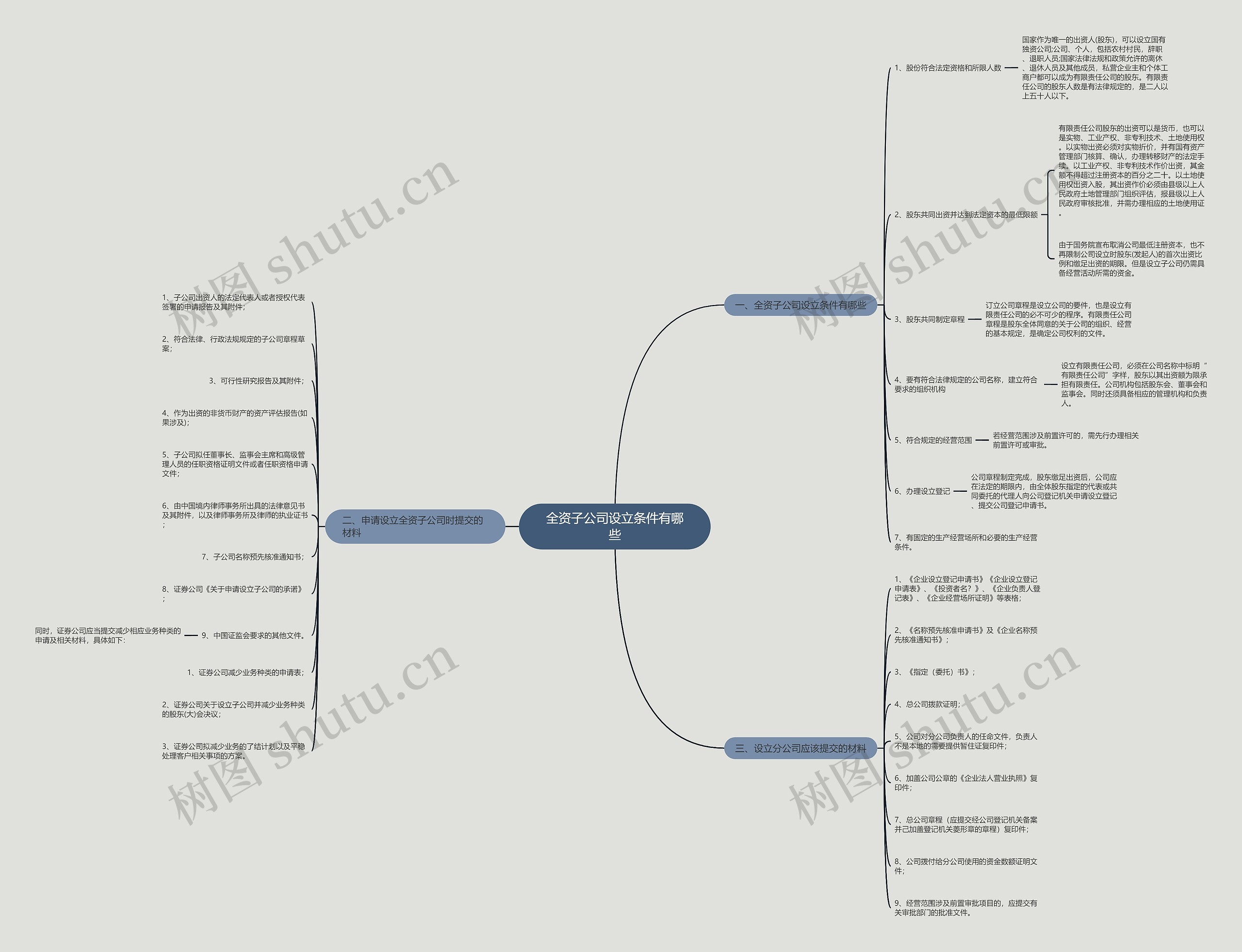 全资子公司设立条件有哪些思维导图