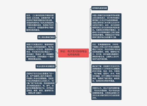 评论：电子支付加快专业化市场布局