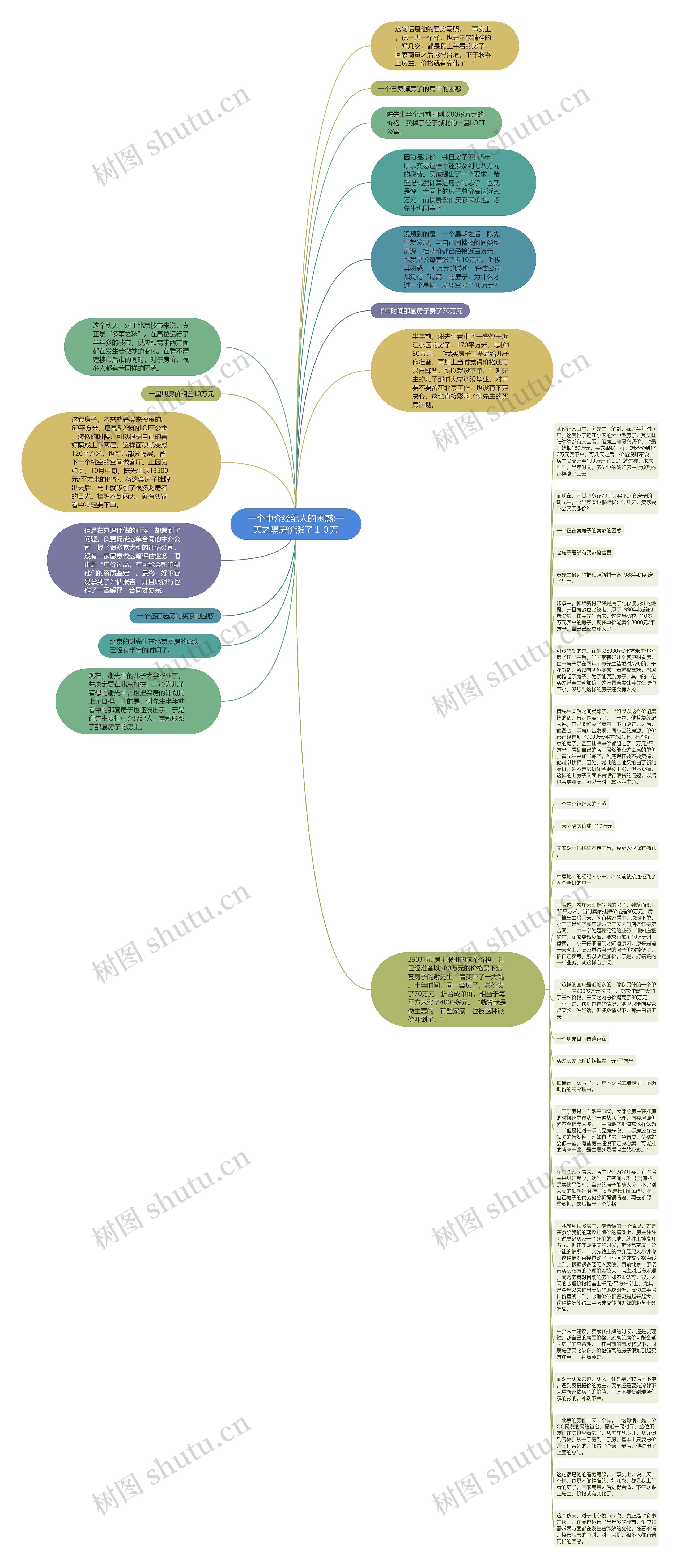 一个中介经纪人的困惑:一天之隔房价涨了１０万思维导图