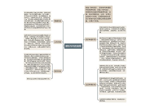 授权专利的流程