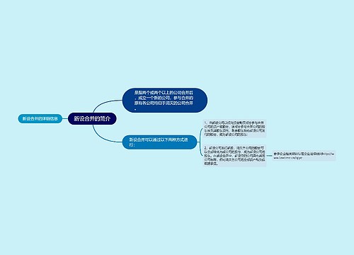 新设合并的简介