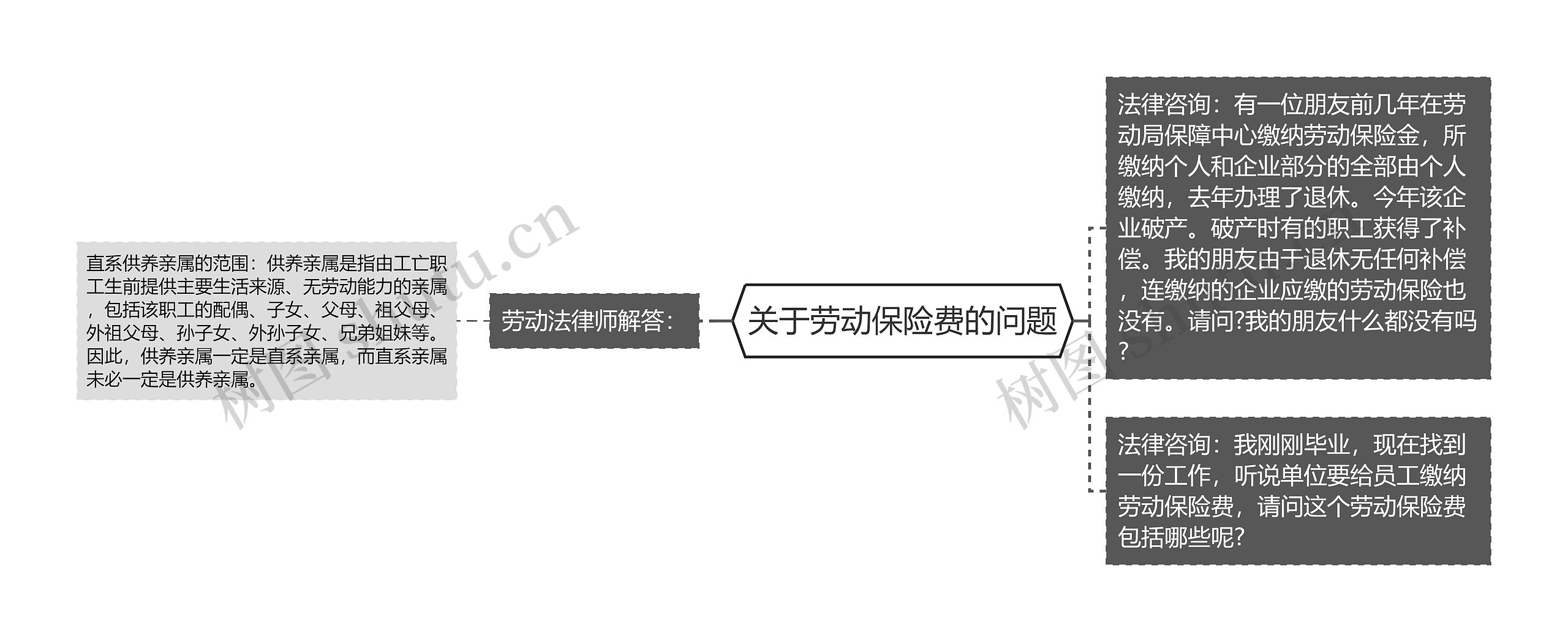 关于劳动保险费的问题思维导图