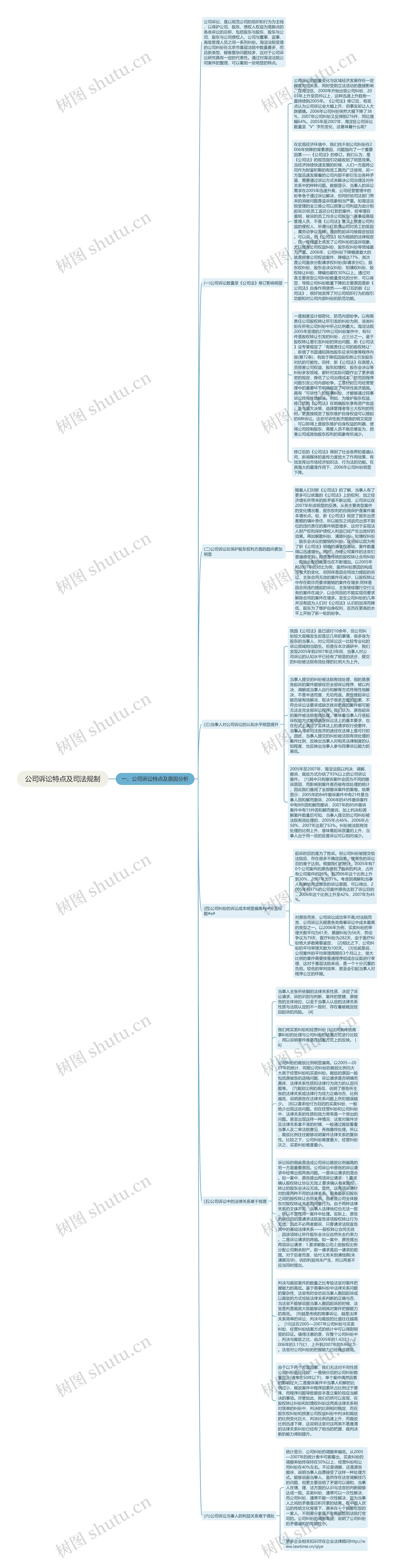 公司诉讼特点及司法规制思维导图