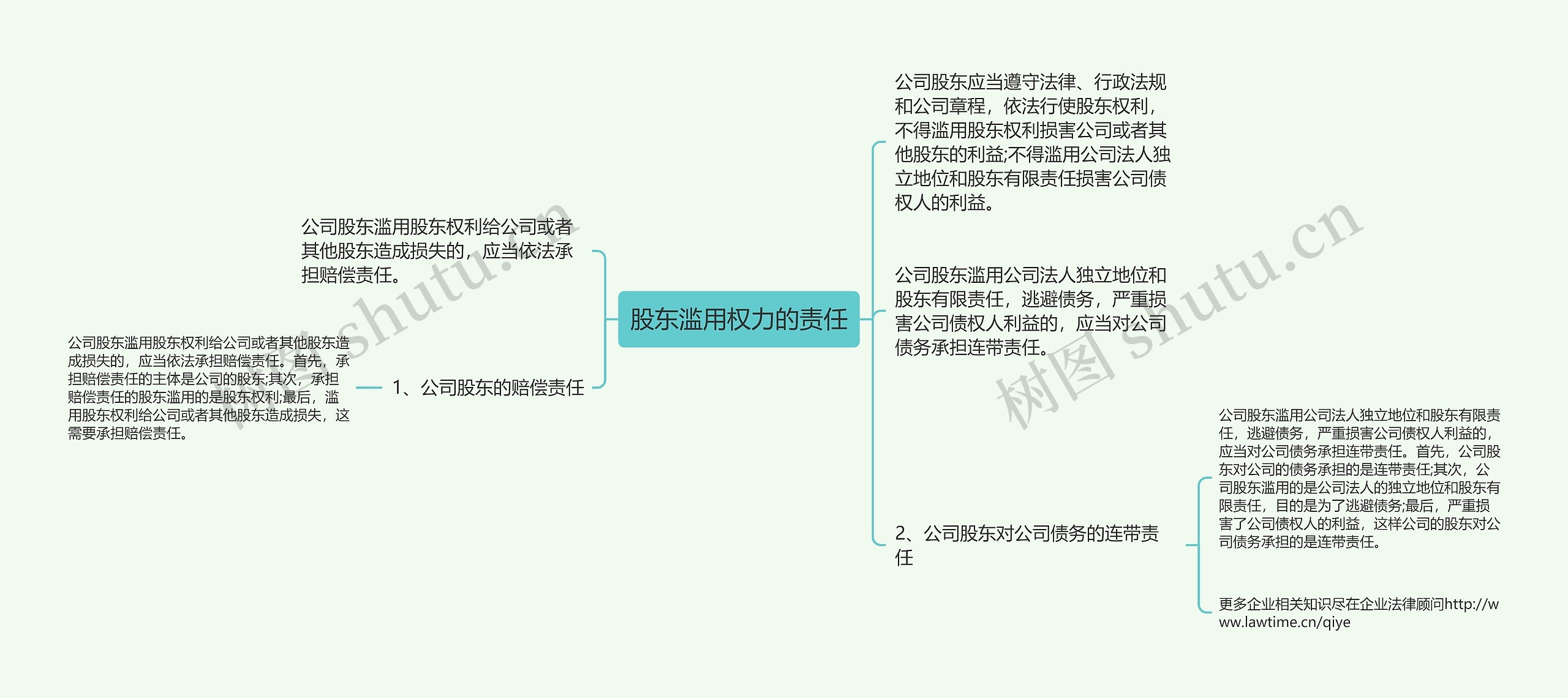 股东滥用权力的责任