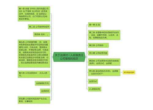 关于法律对一人有限责任公司章程的规定