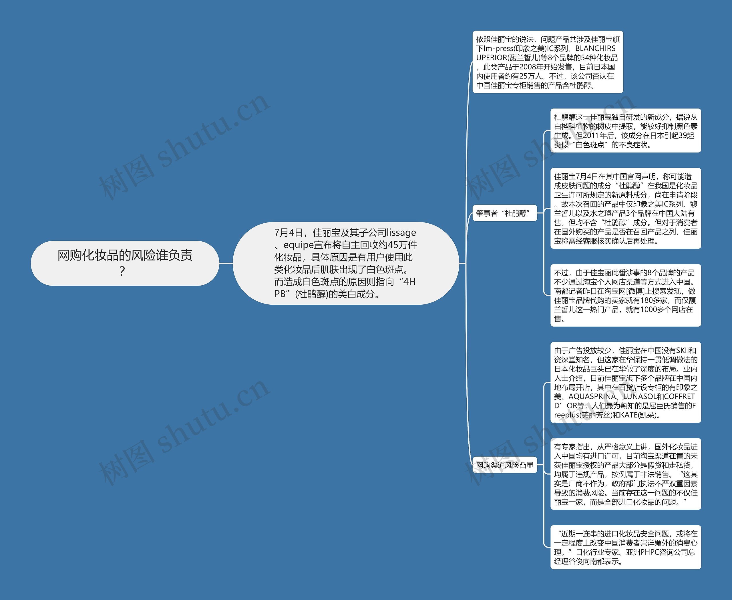 网购化妆品的风险谁负责？思维导图