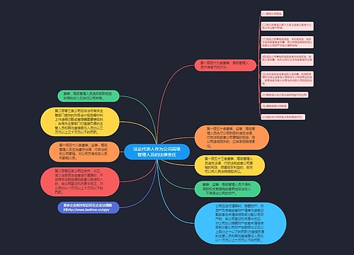 法定代表人作为公司高级管理人员的法律责任