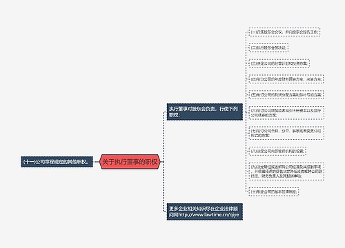 关于执行董事的职权