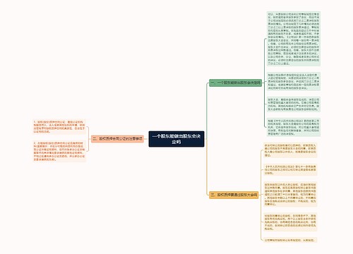 一个股东能做出股东会决定吗