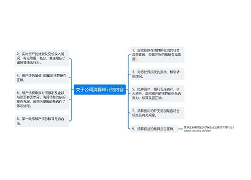 关于公司清算审计的内容