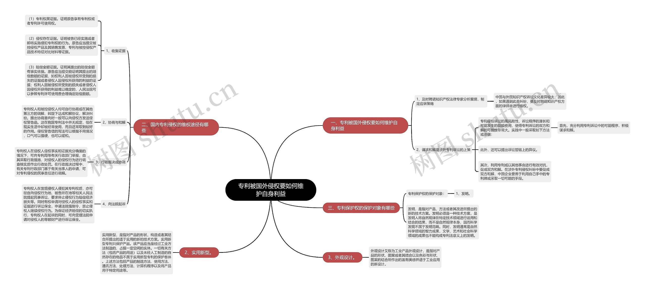 专利被国外侵权要如何维护自身利益思维导图