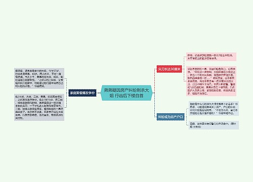 弟弟疑因房产纠纷刺杀大姐 行凶后下楼自首