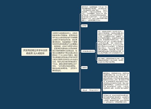 开发商延期三年多未交房赖政策 法人被起诉