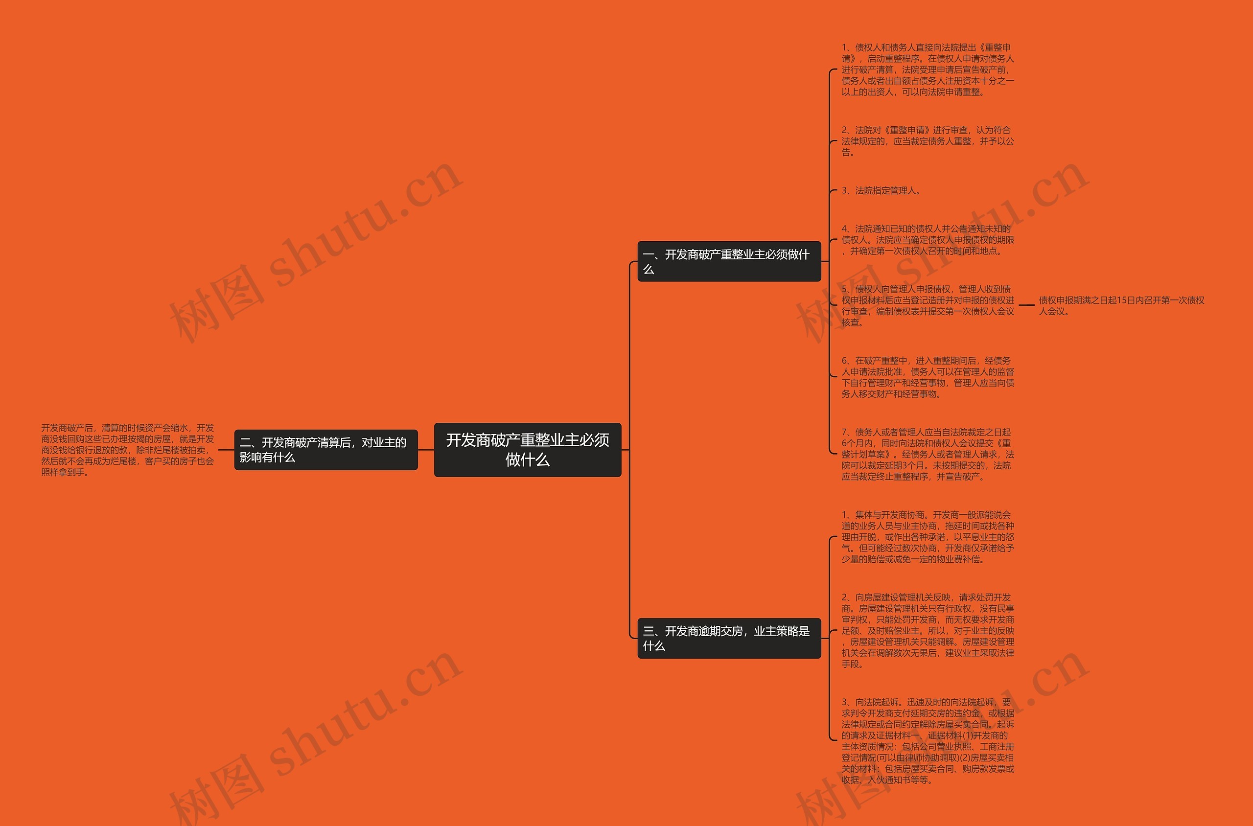 开发商破产重整业主必须做什么思维导图