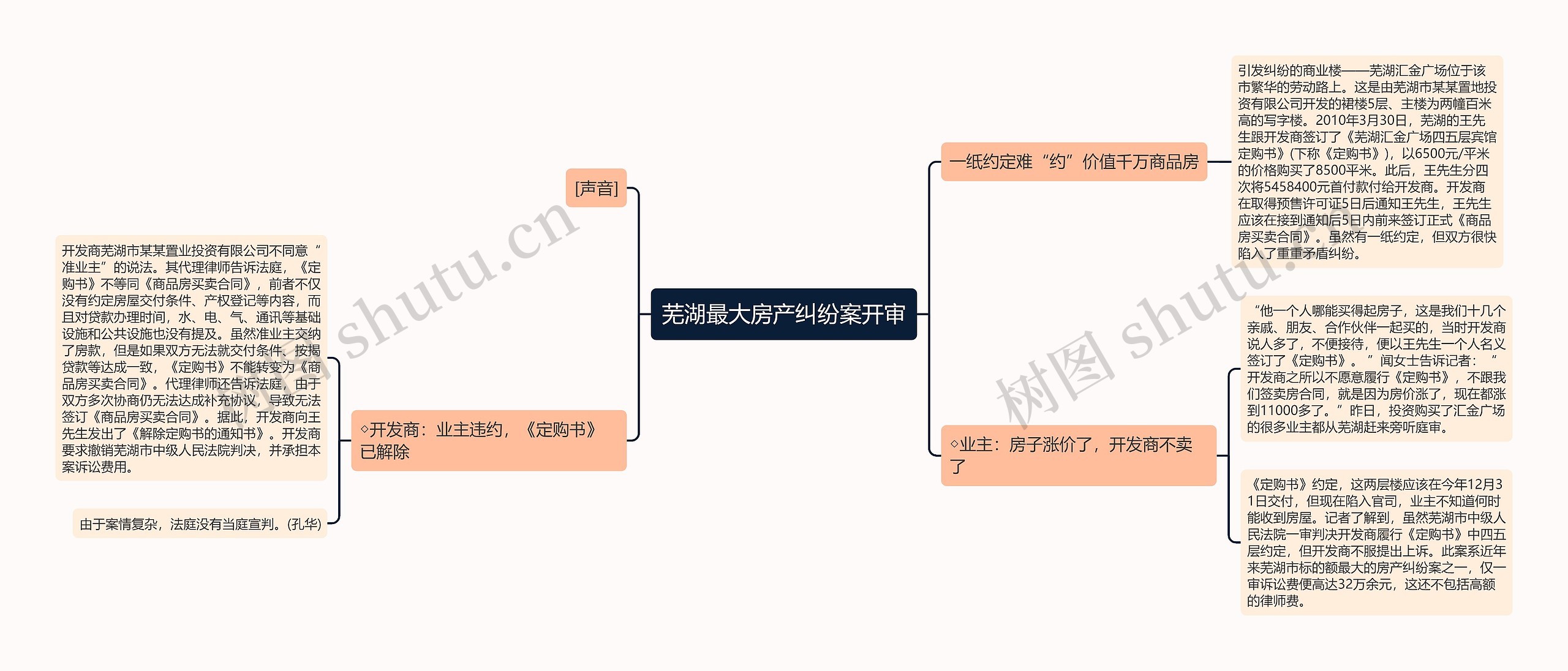 芜湖最大房产纠纷案开审思维导图