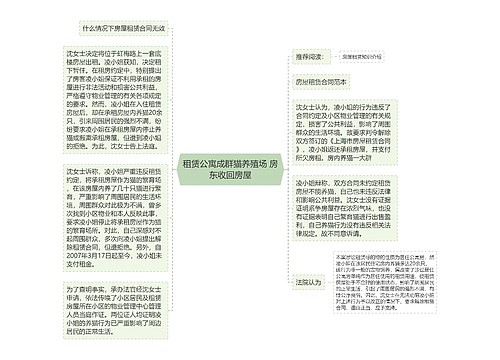 租赁公寓成群猫养殖场 房东收回房屋