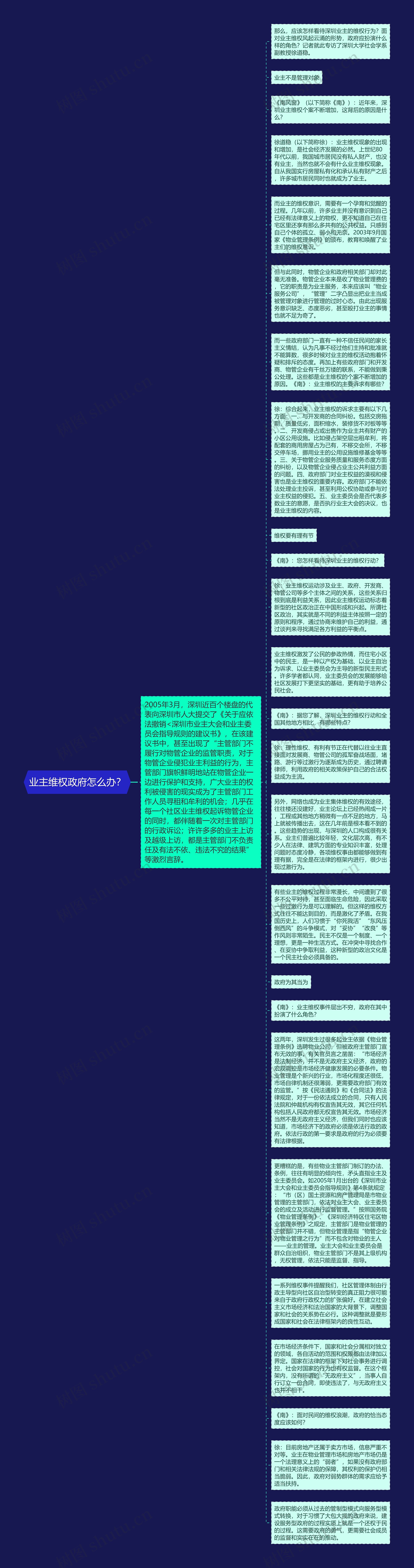 业主维权政府怎么办？思维导图