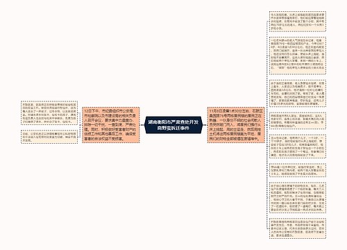 湖南衡阳市严肃查处开发商野蛮拆迁事件