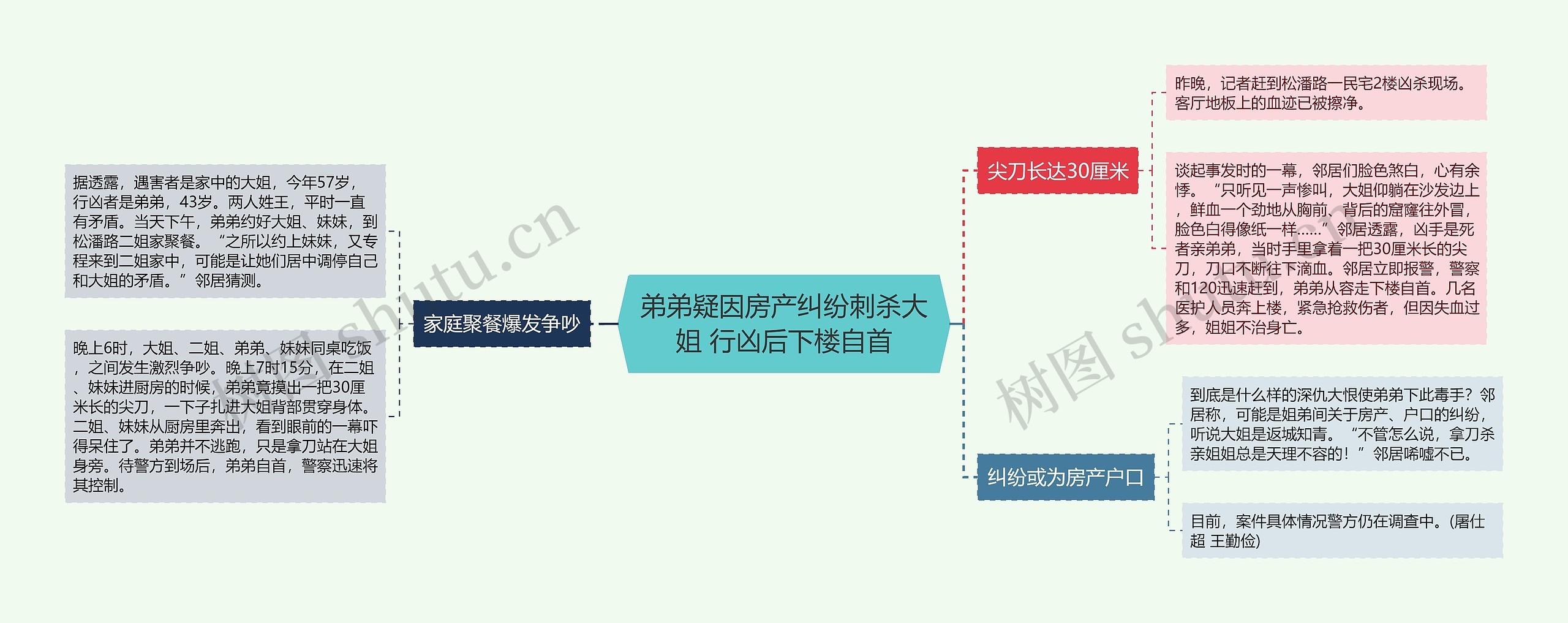 弟弟疑因房产纠纷刺杀大姐 行凶后下楼自首