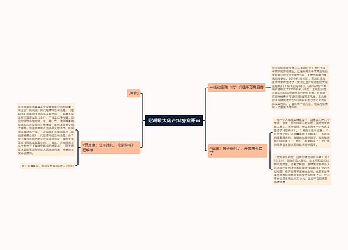 芜湖最大房产纠纷案开审