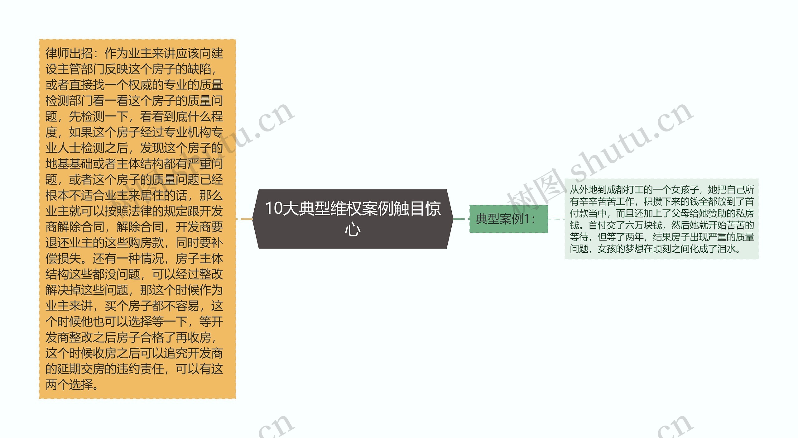 10大典型维权案例触目惊心 10大典型维权案例触目惊心