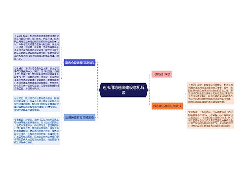 违法用地违法建设意见解读