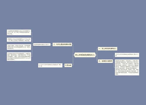 怎么举报偷税漏税的人