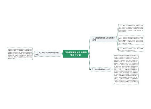 公司偷税漏税怎么举报需要什么证据