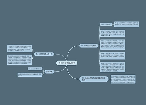 个体企业怎么报税