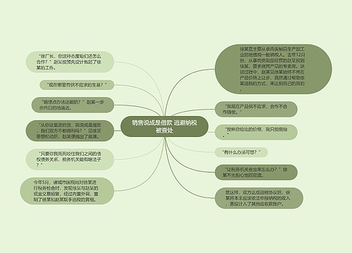 销售说成是借款 逃避纳税被查处